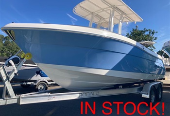 2022 Robalo R222 Steel Blue/White (CLAYTON) Boat